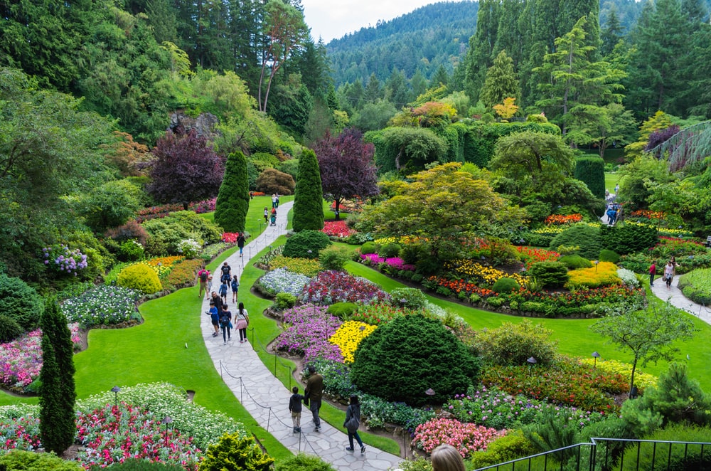 Biodiversity Park